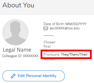 Image is a screenshot of the User Profile in Self Service with the Pronouns display field circled in red