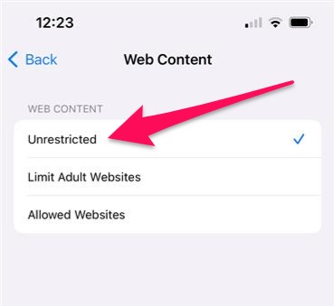 Screenshot of the iOS Settings app showing Web Content.