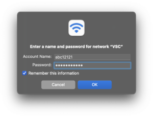 Screenshot of WiFi login screen