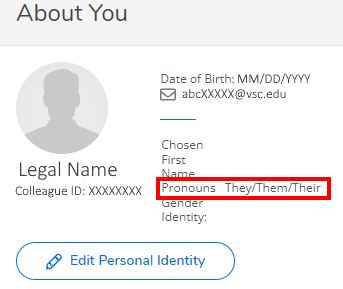 Image is a screenshot of the User Profile in Self Service with the Pronouns display area showing they/them/their pronouns circled in red