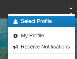 Screenshot of where to find the "Select Profile" option