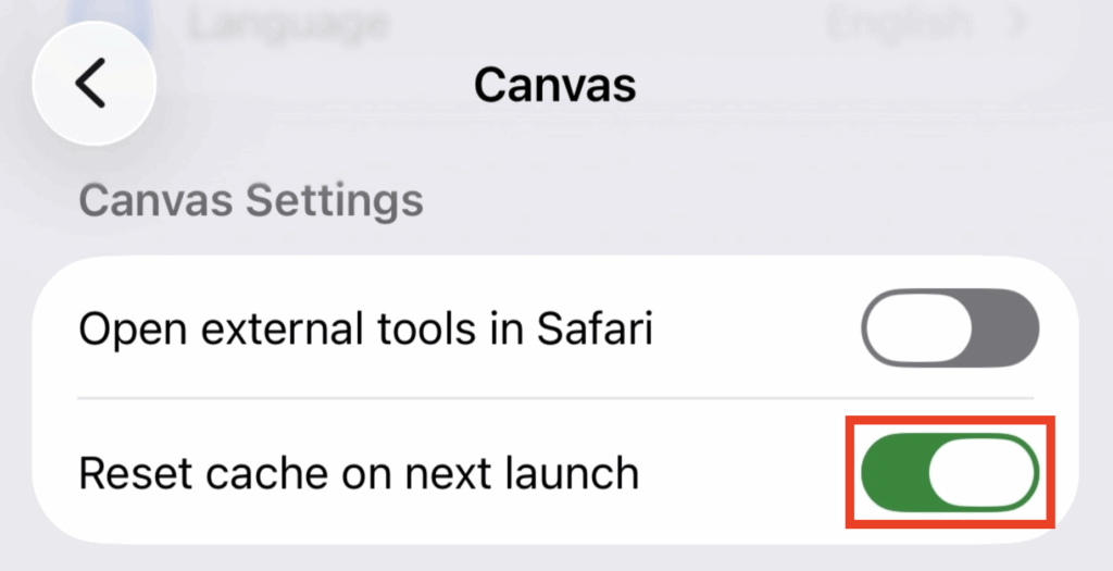 Canvas app settings view with box indicating where to enable Reset cache on next launch.